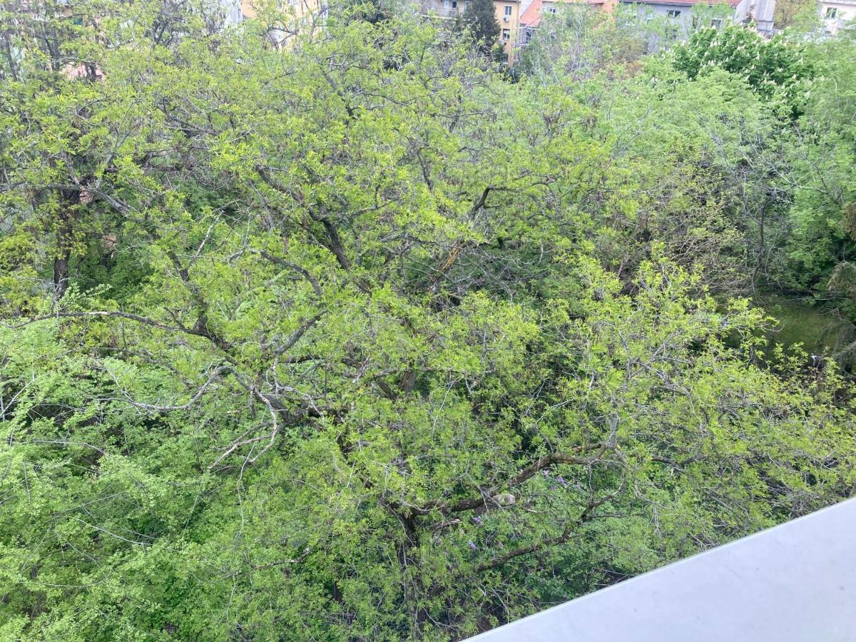 Roland Apartment - Puskas Budapest Ngoại thất bức ảnh